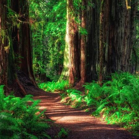 Cedar Mountain -Suite B Grants Pass Bagian luar foto