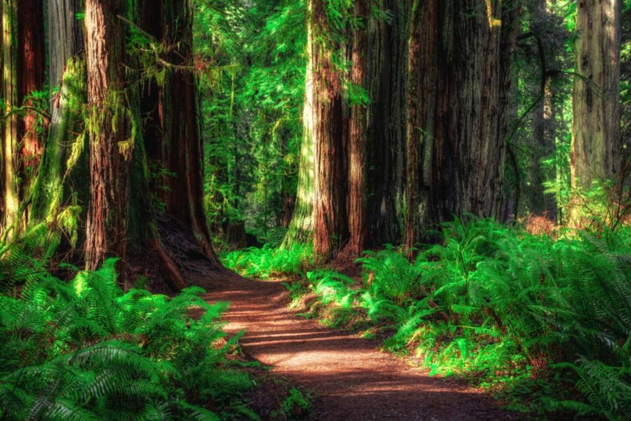 Cedar Mountain -Suite B Grants Pass Bagian luar foto
